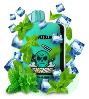 Одноразка Elf Bar GH 23000 Полярна М’ята