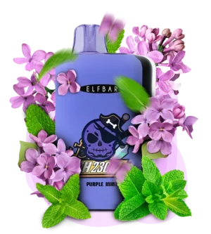 Одноразка Elf Bar GH 23000 Фіолетова М’ята