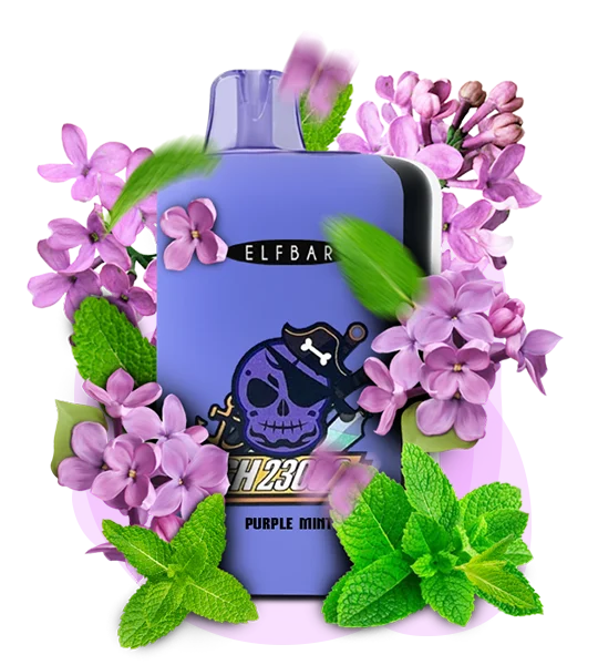 PurpleMint_ES Одноразка Elf Bar GH 23000 Фіолетова М’ята