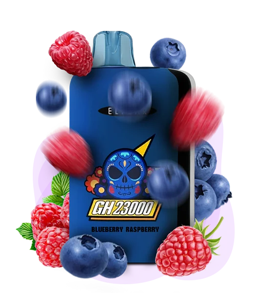 BlueberryRaspberry_ES Одноразка Elf Bar GH 23000 Чорниця-Малина